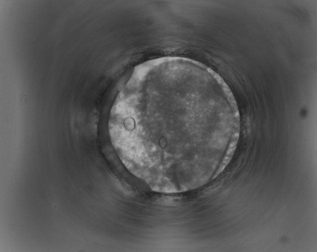 X0000094210664200711241701