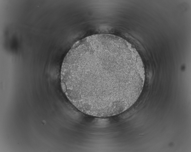 X0000094210665200711241701