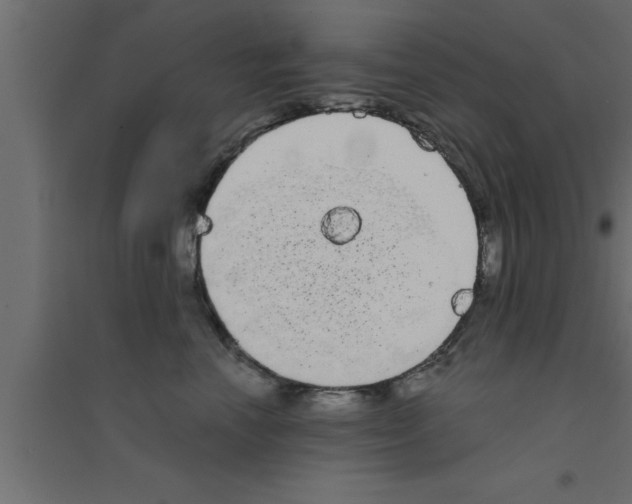 X0000094210666200711241701