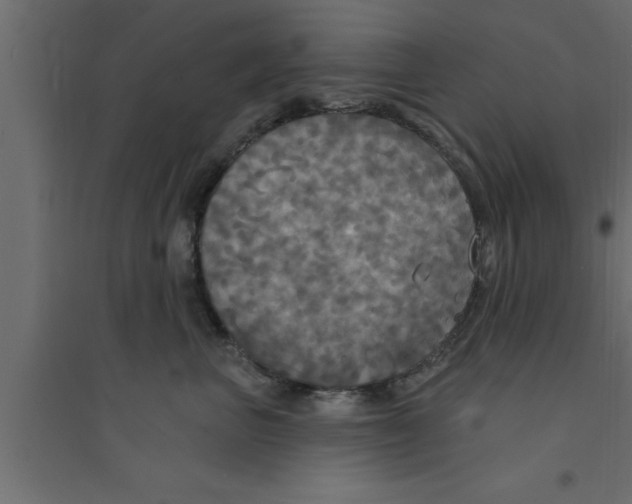 X0000094210667200711241701