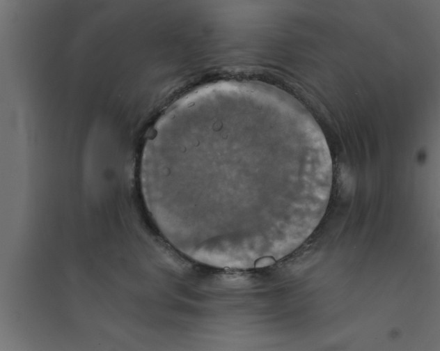 X0000094210668200711241701