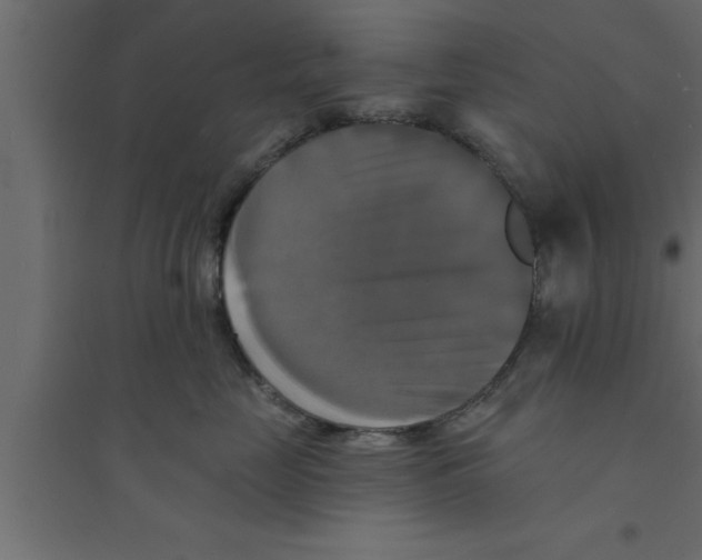 X0000094210669200711241701
