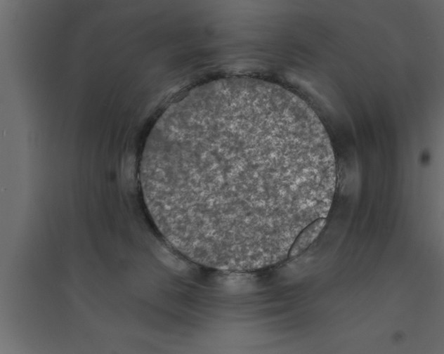 X0000094210670200711241701