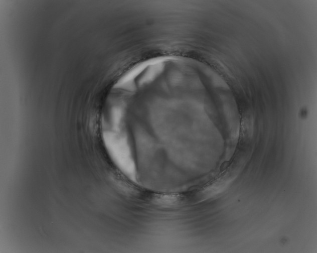 X0000094210671200711241701
