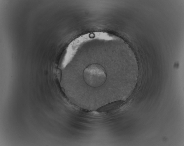 X0000094210672200711241701