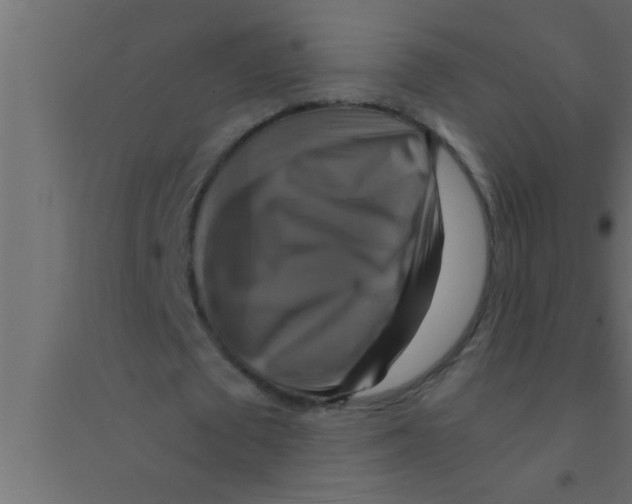 X0000094210673200711241700