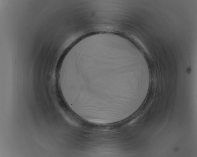 X0000094210674200711241700