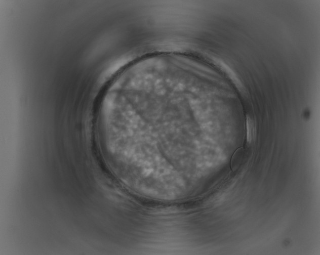 X0000094210675200711241700