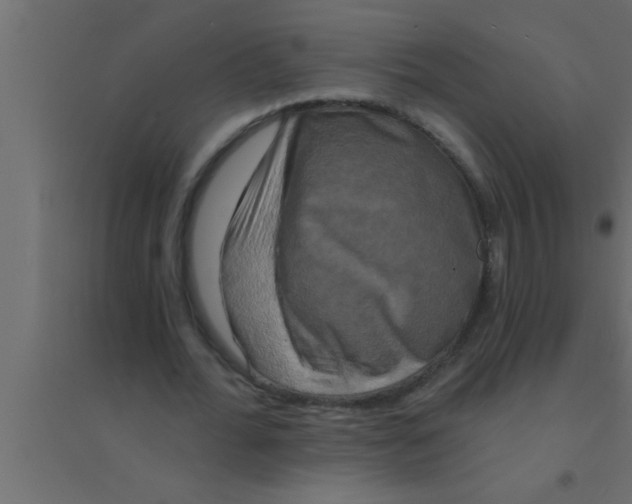 X0000094210676200711241700