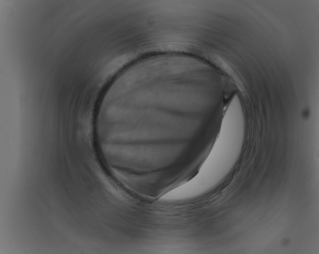 X0000094210677200711241700