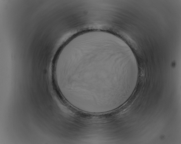 X0000094210678200711241700