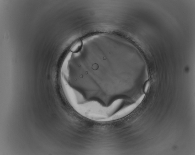 X0000094210679200711241700