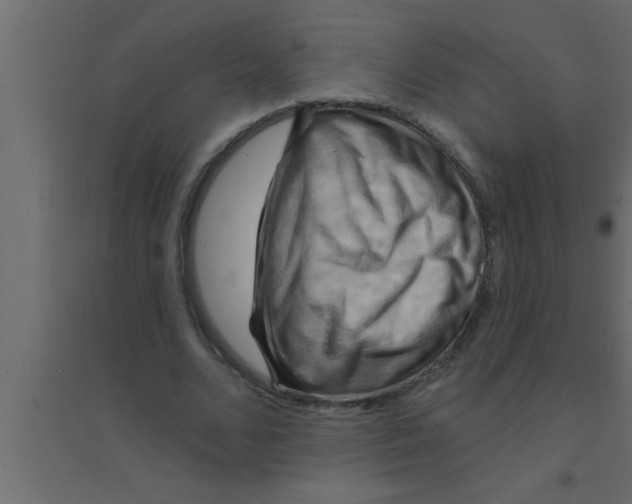 X0000094210680200711241700