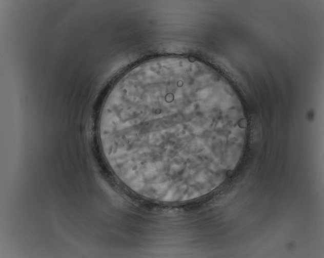 X0000094210683200711241700