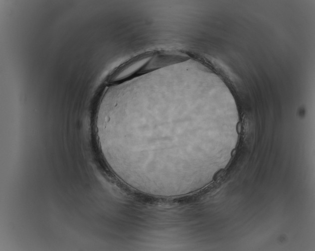 X0000094210684200711241700