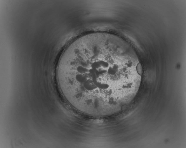 X0000094210687200711241700