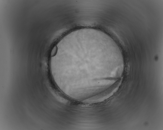 X0000094210688200711241700