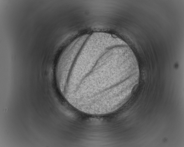 X0000094210690200711241700