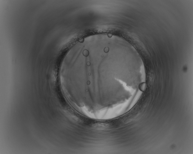 X0000094210691200711241700