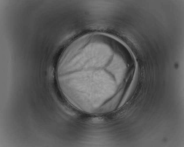 X0000094210692200711241700