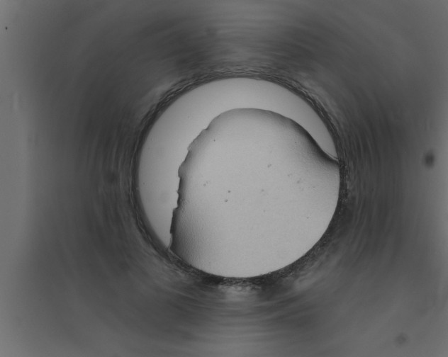 X0000094210693200711241700