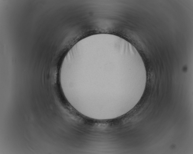 X0000094210694200711241700