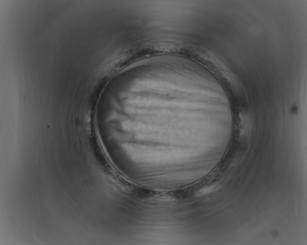 X0000094210696200711241700