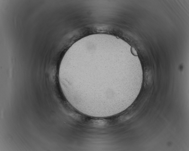 X0000094210698200711241700