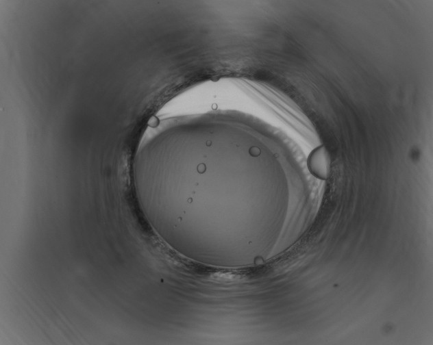 X0000094210699200711241700