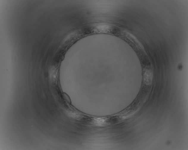 X0000094210701200711241700