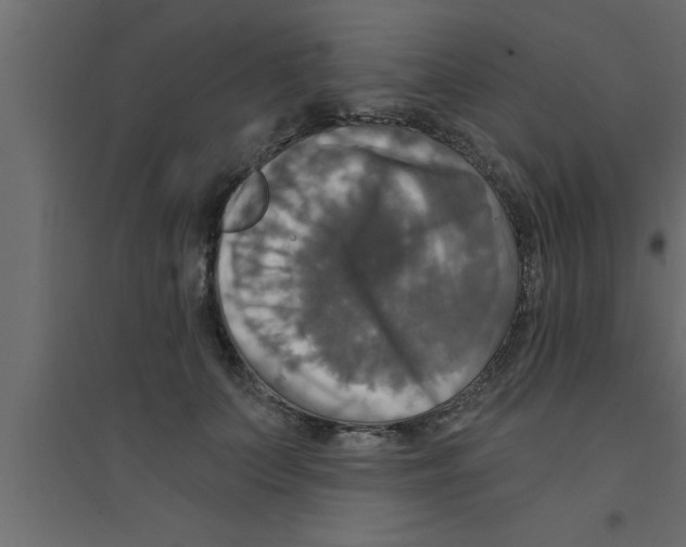 X0000094210703200711241700