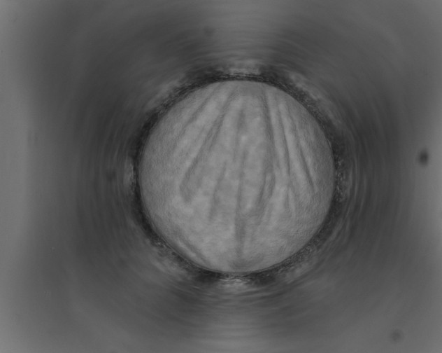 X0000094210704200711241700