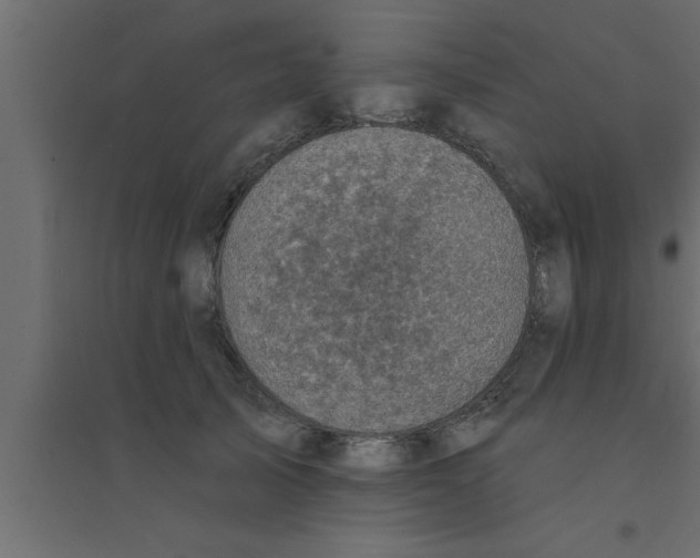 X0000094210705200711241700