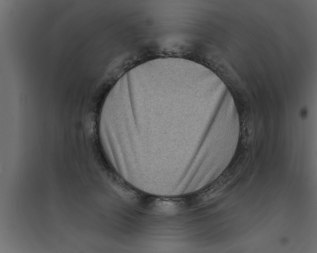 X0000094210706200711241700
