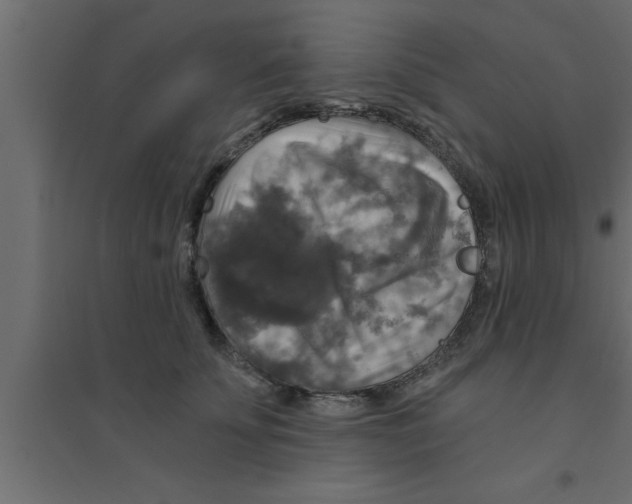 X0000094210707200711241700