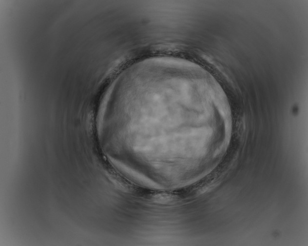 X0000094210708200711241700