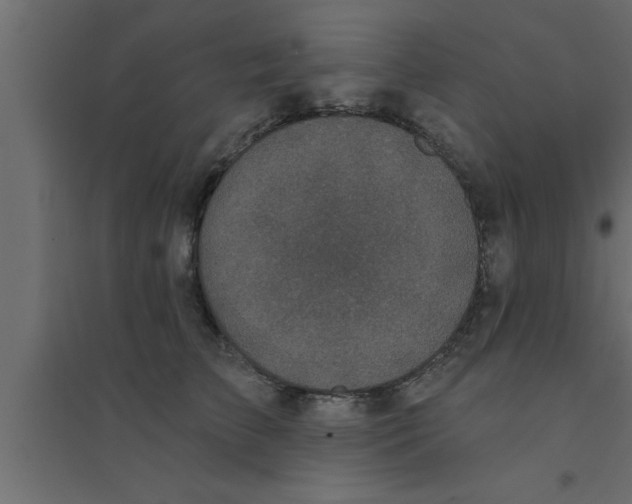 X0000094210709200711241700