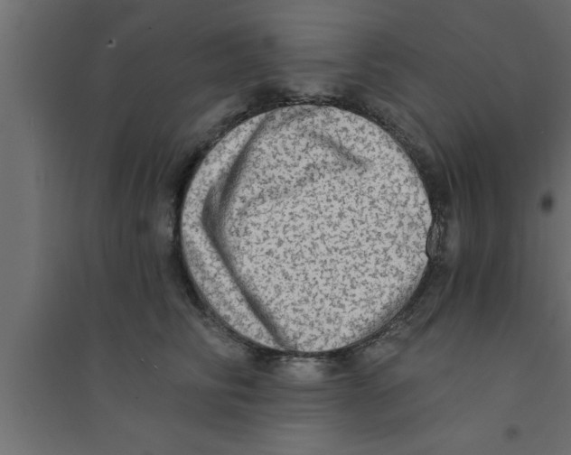 X0000094210710200711241700