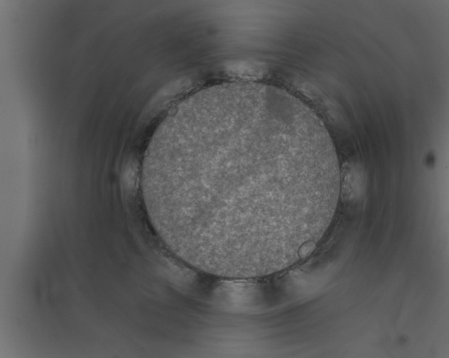 X0000094210713200711241700