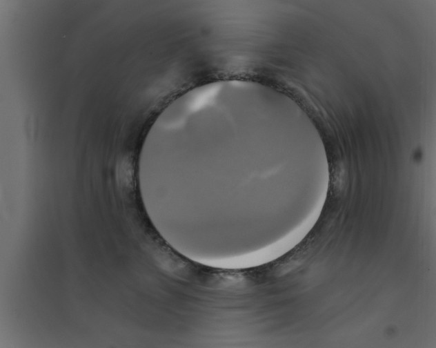 X0000094210715200711241700