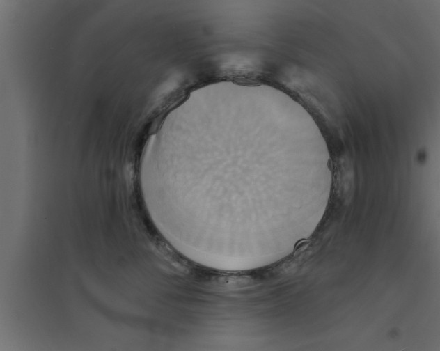 X0000094210716200711241700