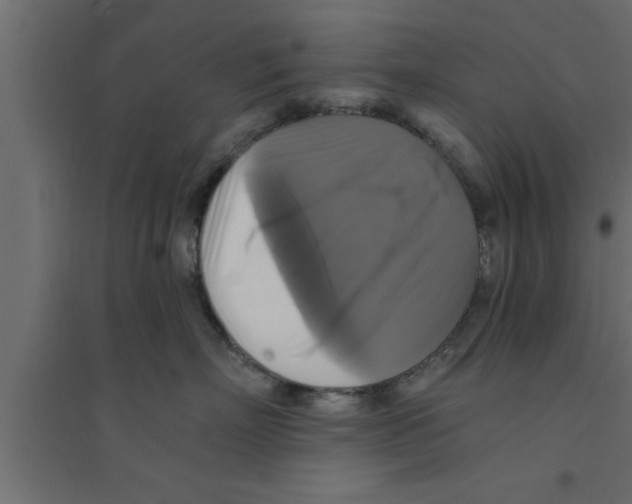 X0000094210718200711241700
