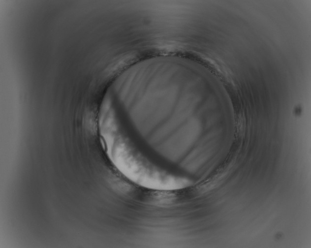 X0000094210719200711241700