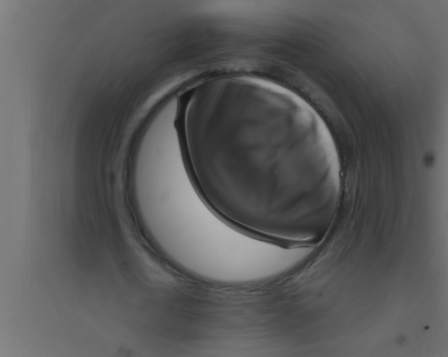 X0000094210722200711241659
