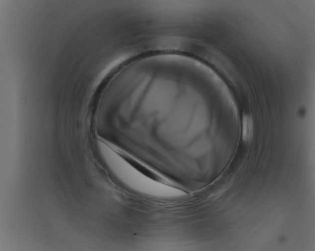 X0000094210723200711241659