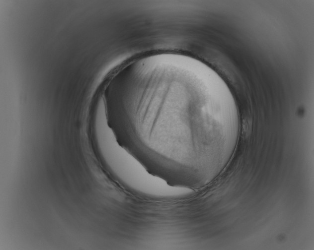 X0000094210724200711241659