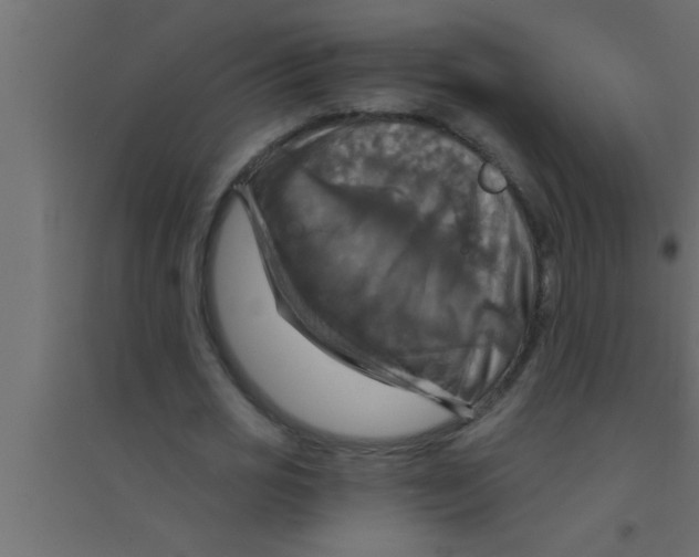 X0000094210725200711241659