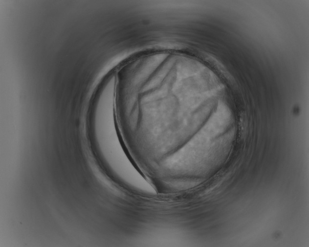 X0000094210726200711241659