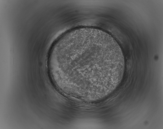 X0000094210727200711241659