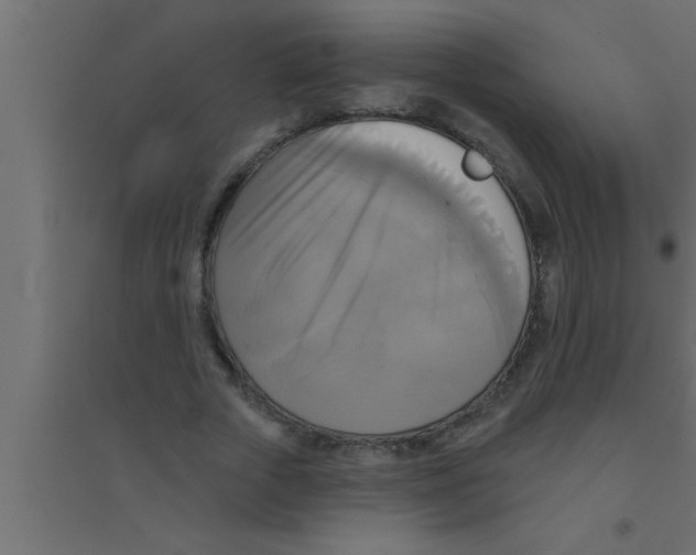 X0000094210729200711241659